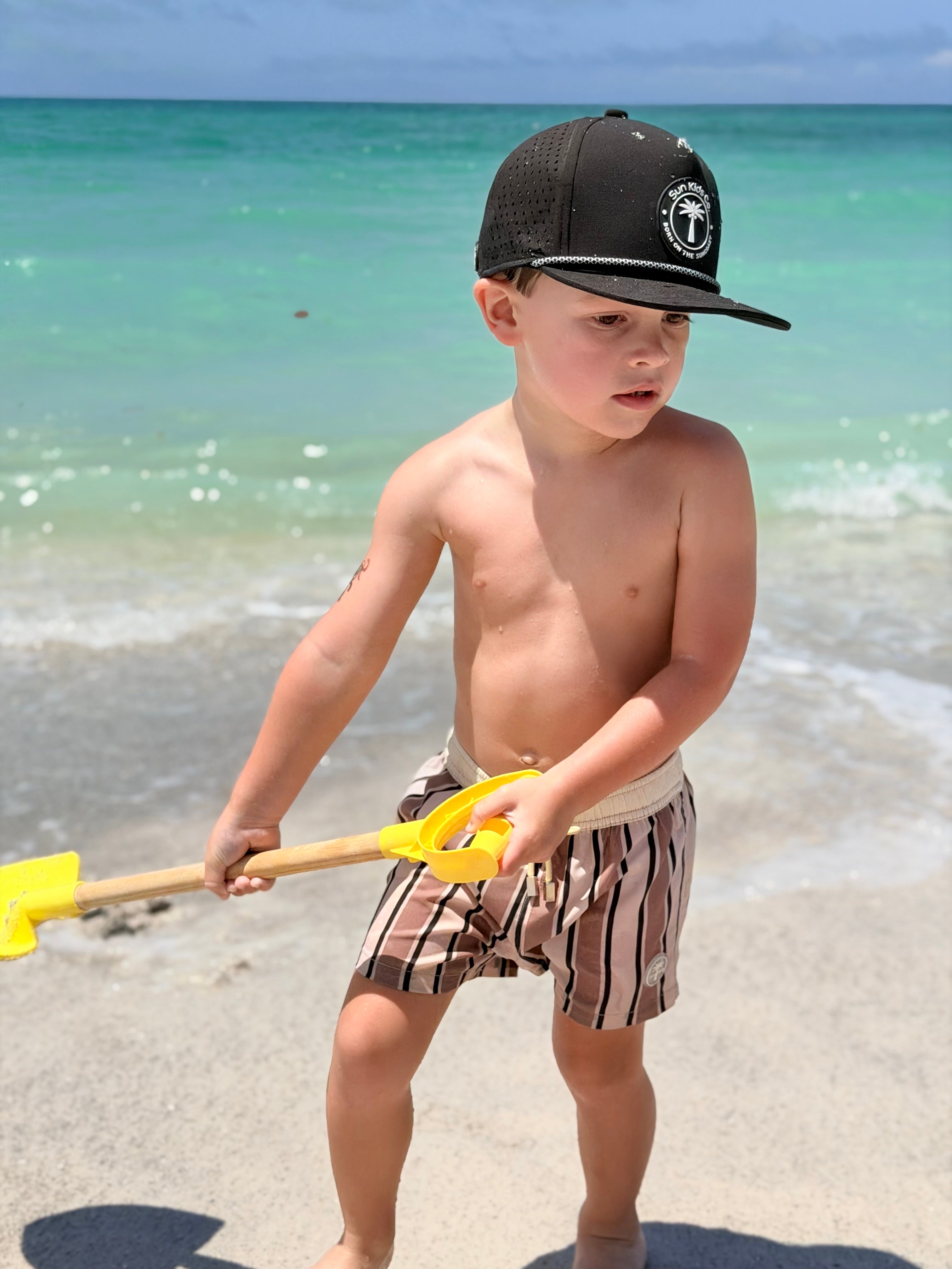 Brown Stripe Swim Trunks