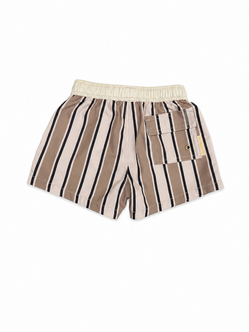 Brown Stripe Swim Trunks
