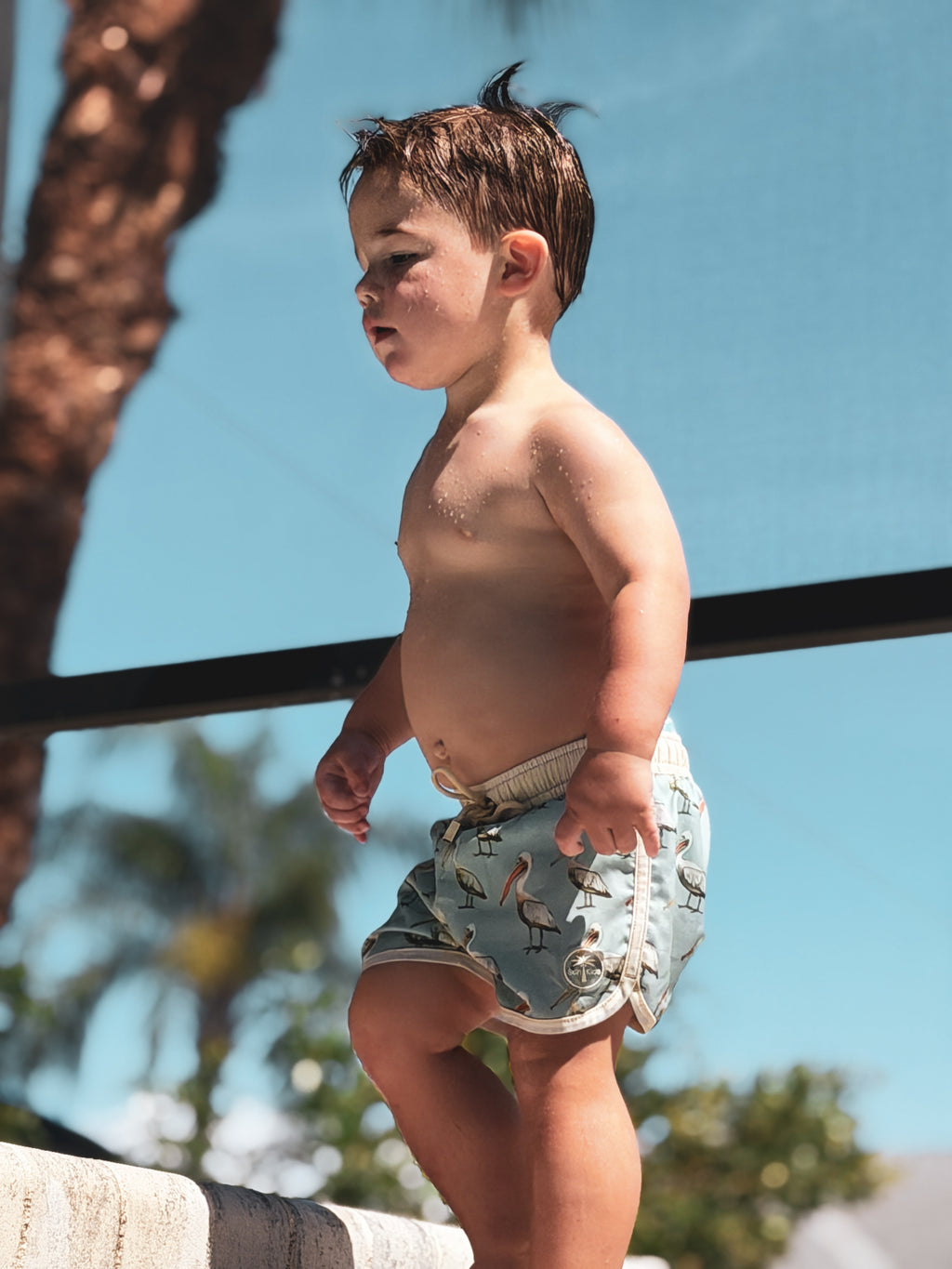 Pelican Swim Trunks