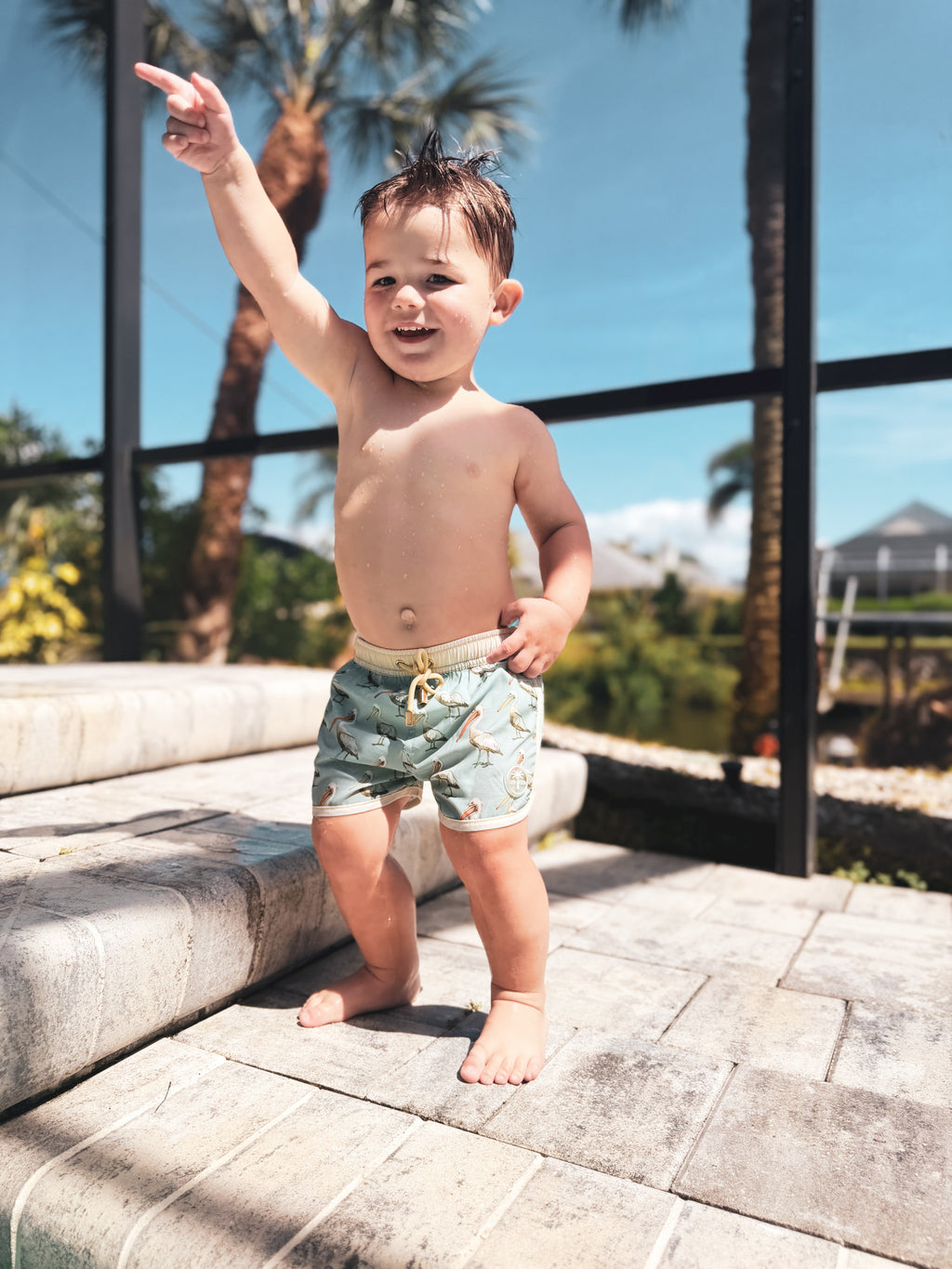 Pelican Swim Trunks