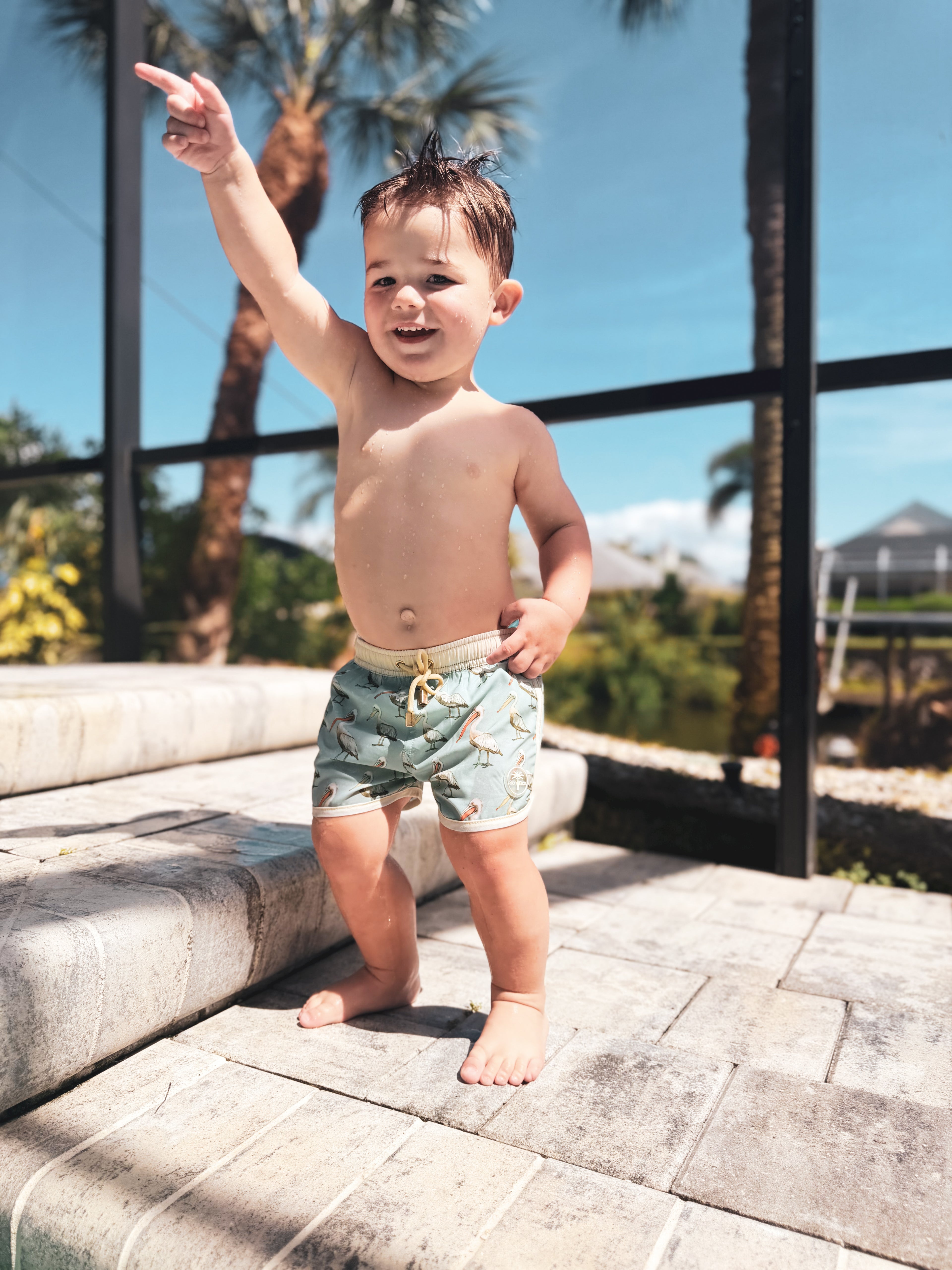 Pelican Swim Trunks