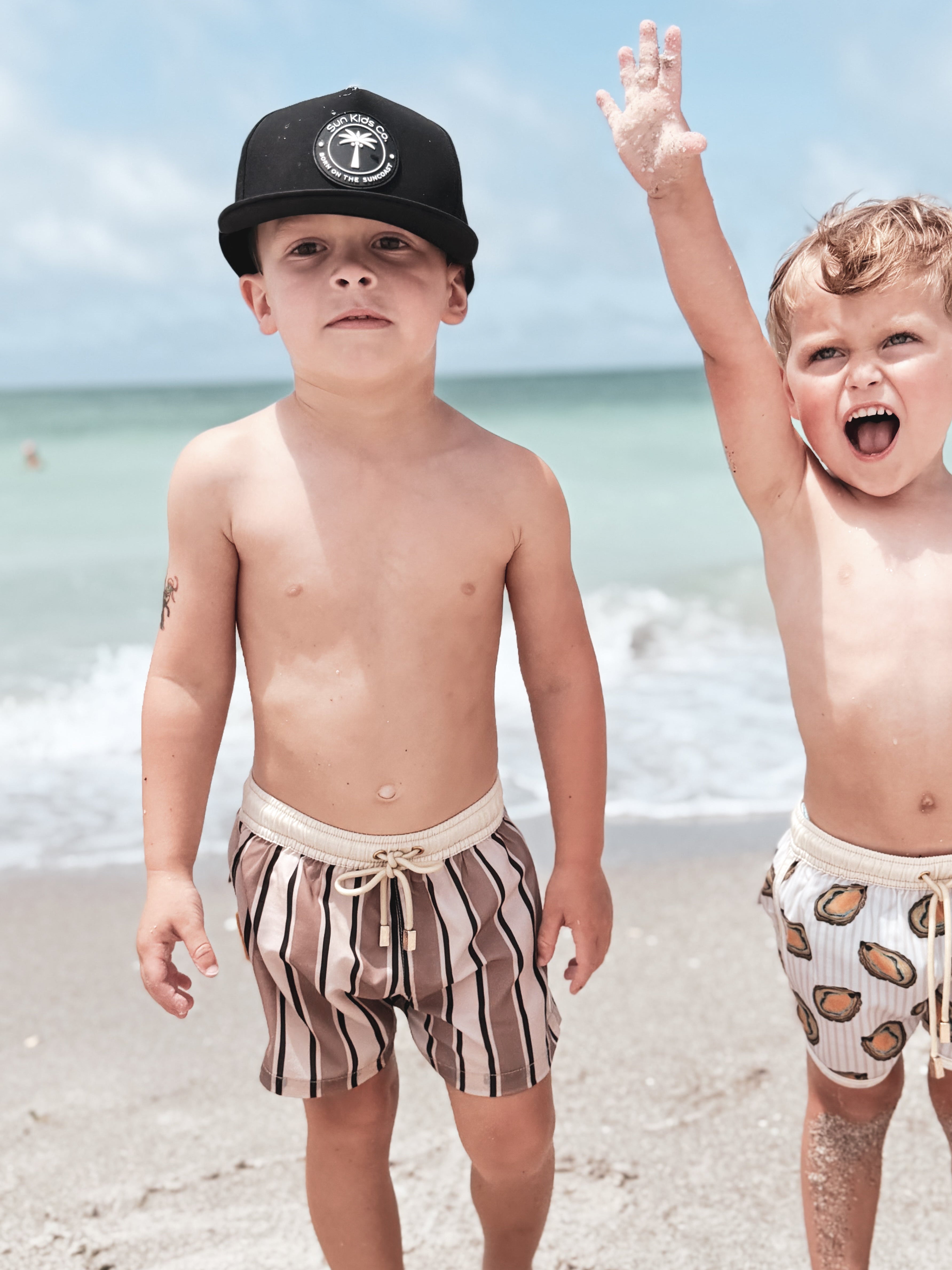 Brown Stripe Swim Trunks